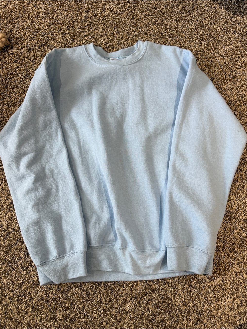 Gildan light blue sweatshirt